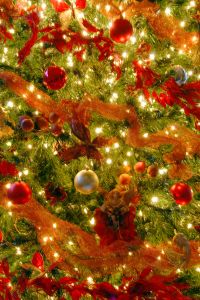 1124518_christmas_tree.jpg