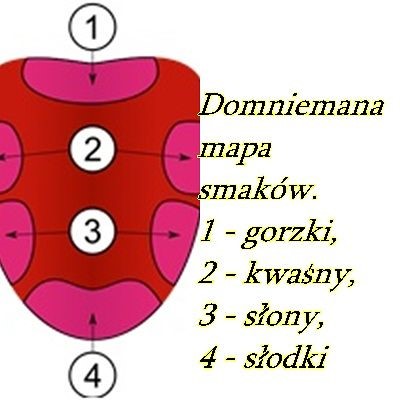 gms.mapa.smak
