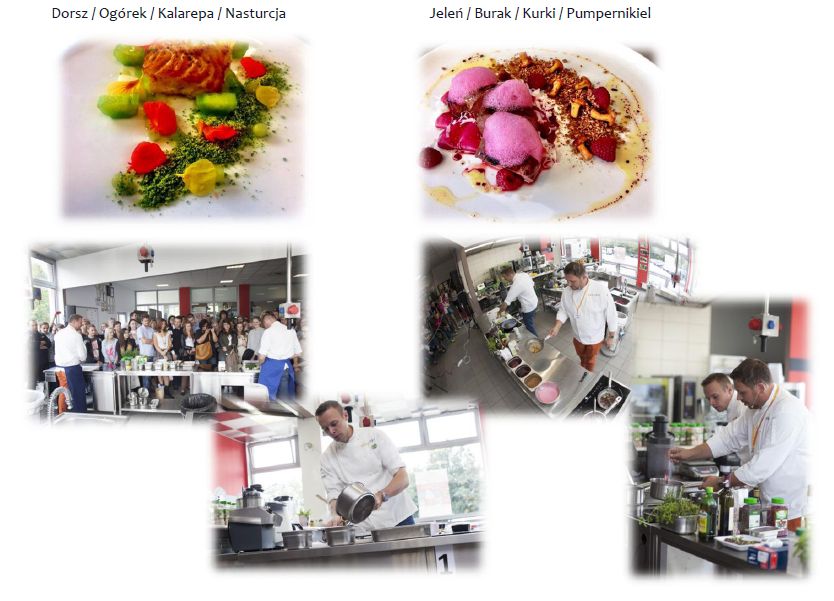 gastrosilesia5