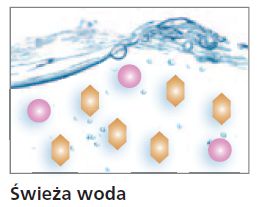 swieza.woda