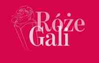 roze_gali_logo_medium