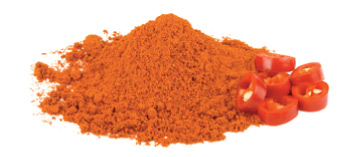 knorr-img6.jpg