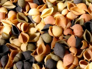 1223760_shell-shaped_soup_noodles_texture_conchiglies.jpg