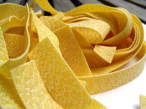 160623_some_kind_of_pappardelle.jpg