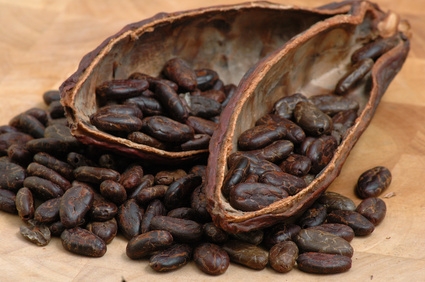 cocoa.jpg