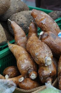 201190_manioc_roots.jpg