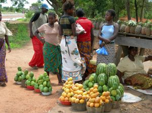 464378_zambian_fruit_market.jpg