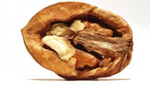 1148050_nut_2.jpg