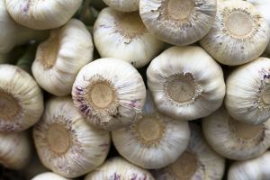 1169856_garlic.jpg