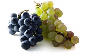 1233861_organic_grapes.jpg