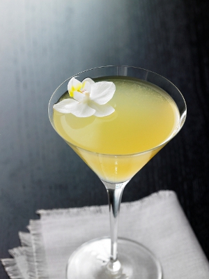 grey_goose_white_tiara.jpg