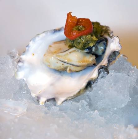 oyster.jpg