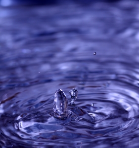 1242892_liquid.jpg