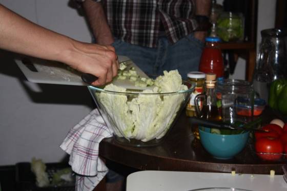 telav_perska107.jpg