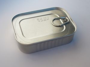976021_tin.jpg